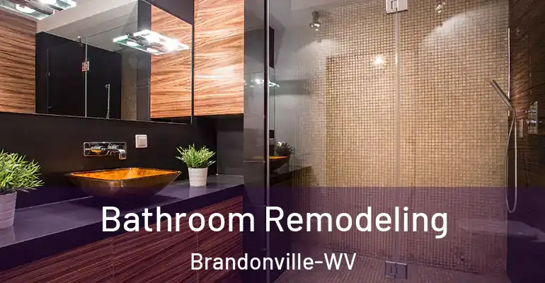 inner Bathroom imggen Bathroom Remodeling Brandonville-WV