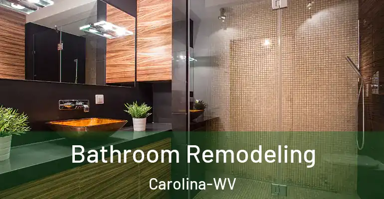 inner Bathroom imggen Bathroom Remodeling Carolina-WV