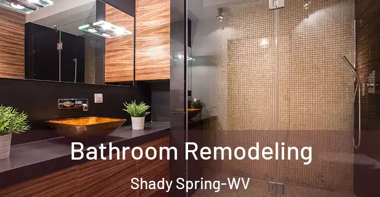 inner Bathroom imggen Bathroom Remodeling Shady Spring-WV