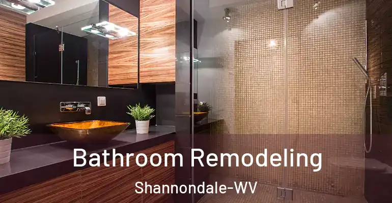 inner Bathroom imggen Bathroom Remodeling Shannondale-WV