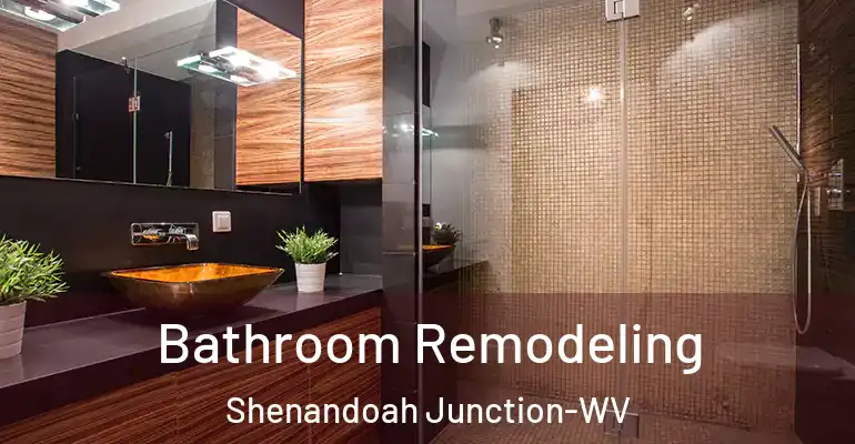 inner Bathroom imggen Bathroom Remodeling Shenandoah Junction-WV