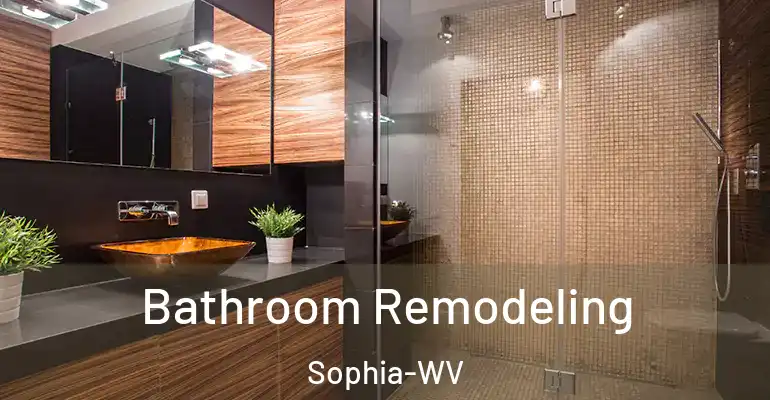 inner Bathroom imggen Bathroom Remodeling Sophia-WV