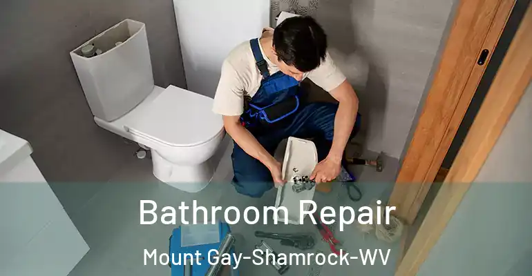 inner Bathroom imggen Bathroom Repair Mount Gay-Shamrock-WV