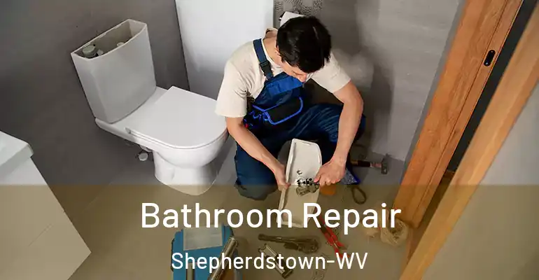 inner Bathroom imggen Bathroom Repair Shepherdstown-WV