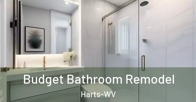 inner Bathroom imggen Budget Bathroom Remodel Harts-WV