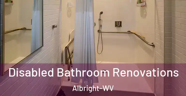 inner Bathroom imggen Disabled Bathroom Renovations Albright-WV