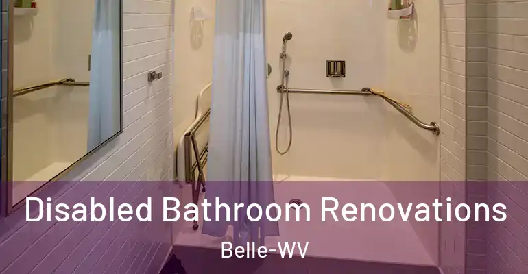 inner Bathroom imggen Disabled Bathroom Renovations Belle-WV