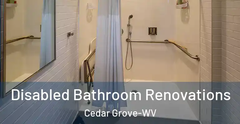 inner Bathroom imggen Disabled Bathroom Renovations Cedar Grove-WV