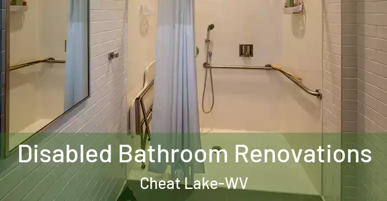 inner Bathroom imggen Disabled Bathroom Renovations Cheat Lake-WV