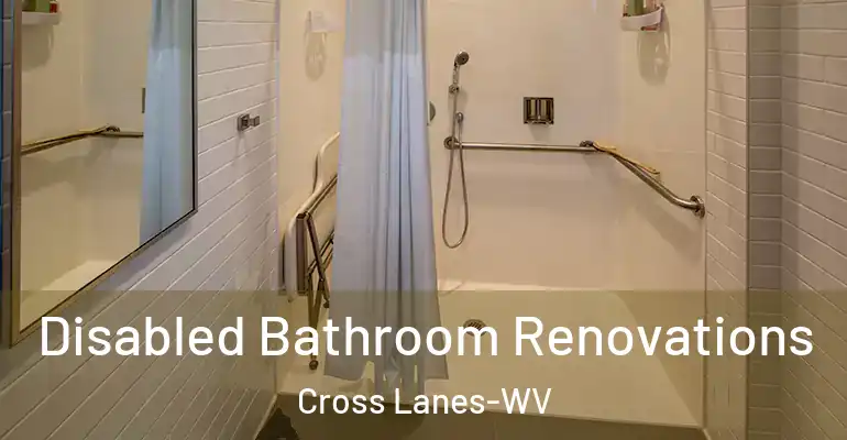 inner Bathroom imggen Disabled Bathroom Renovations Cross Lanes-WV