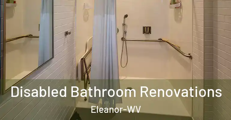 inner Bathroom imggen Disabled Bathroom Renovations Eleanor-WV