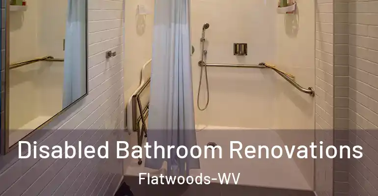 inner Bathroom imggen Disabled Bathroom Renovations Flatwoods-WV