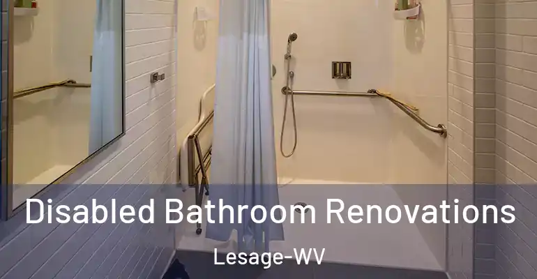 inner Bathroom imggen Disabled Bathroom Renovations Lesage-WV