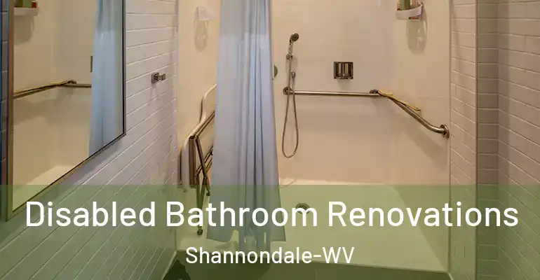 inner Bathroom imggen Disabled Bathroom Renovations Shannondale-WV