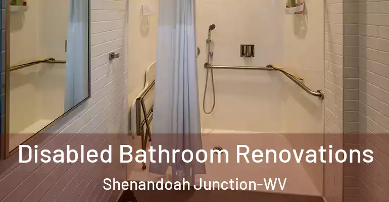 inner Bathroom imggen Disabled Bathroom Renovations Shenandoah Junction-WV