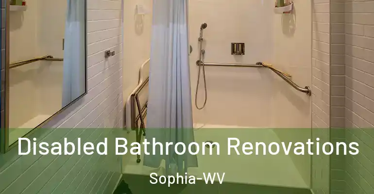 inner Bathroom imggen Disabled Bathroom Renovations Sophia-WV