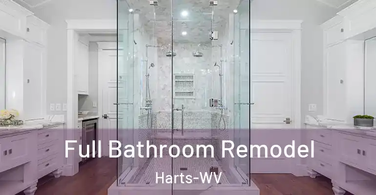 inner Bathroom imggen Full Bathroom Remodel Harts-WV