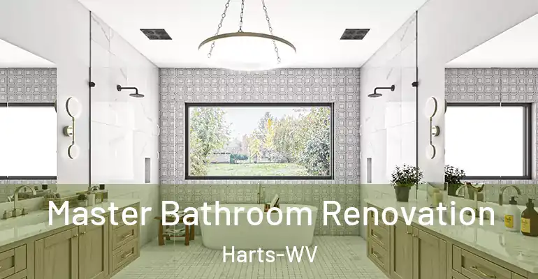inner Bathroom imggen Master Bathroom Renovation Harts-WV