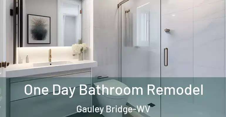 inner Bathroom imggen One Day Bathroom Remodel Gauley Bridge-WV
