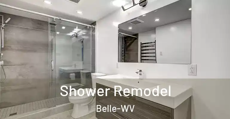 inner Bathroom imggen Shower Remodel Belle-WV