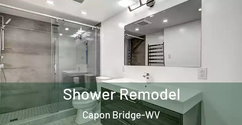 inner Bathroom imggen Shower Remodel Capon Bridge-WV