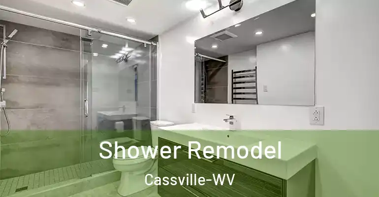 inner Bathroom imggen Shower Remodel Cassville-WV
