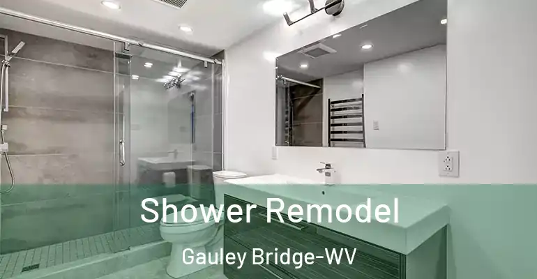 inner Bathroom imggen Shower Remodel Gauley Bridge-WV