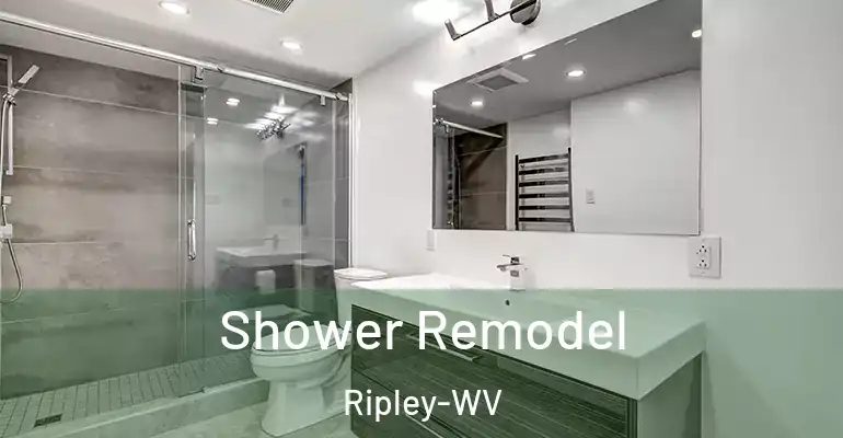 inner Bathroom imggen Shower Remodel Ripley-WV