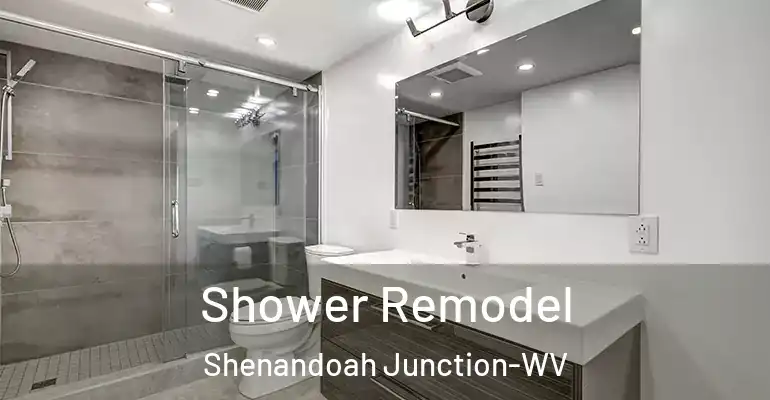 inner Bathroom imggen Shower Remodel Shenandoah Junction-WV