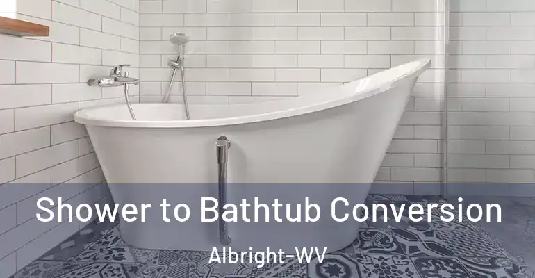 inner Bathroom imggen Shower to Bathtub Conversion Albright-WV