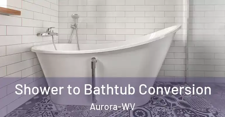 inner Bathroom imggen Shower to Bathtub Conversion Aurora-WV