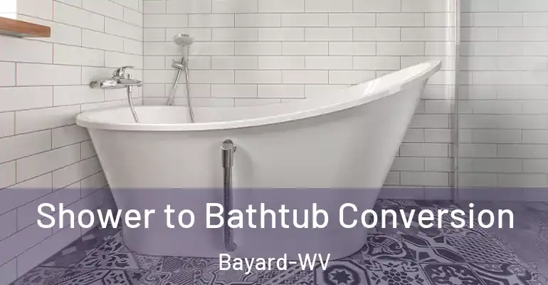 inner Bathroom imggen Shower to Bathtub Conversion Bayard-WV