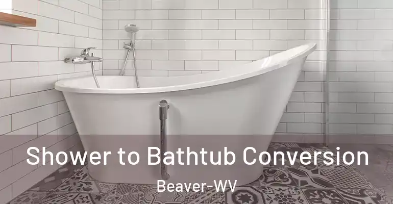 inner Bathroom imggen Shower to Bathtub Conversion Beaver-WV