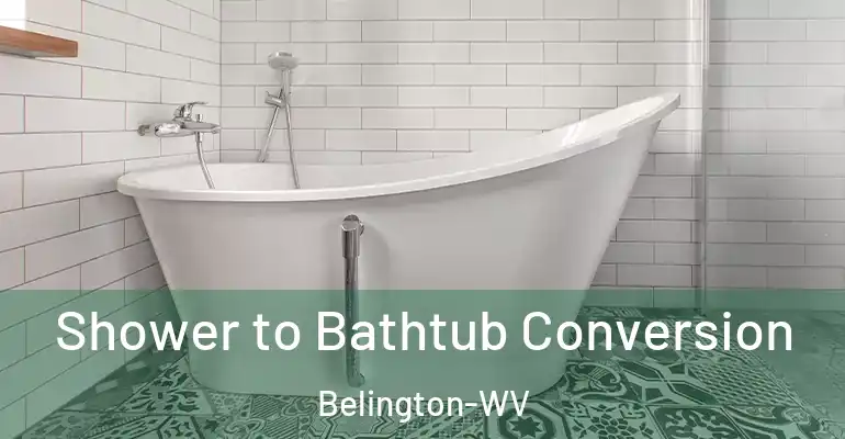 inner Bathroom imggen Shower to Bathtub Conversion Belington-WV