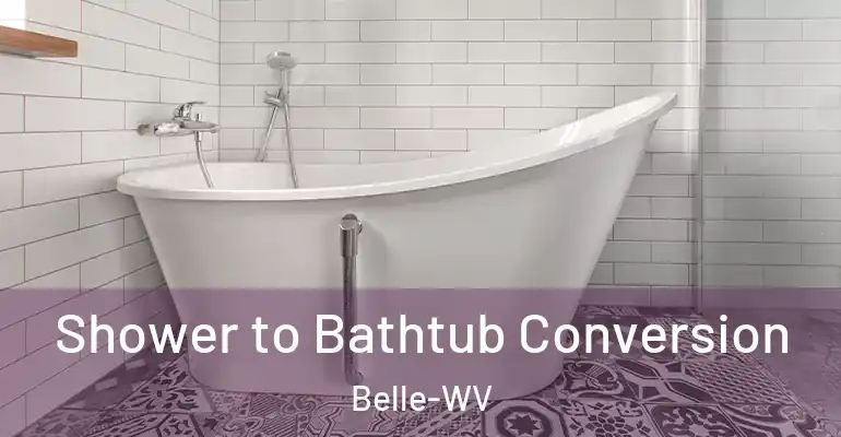 inner Bathroom imggen Shower to Bathtub Conversion Belle-WV