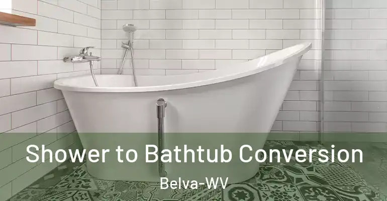 inner Bathroom imggen Shower to Bathtub Conversion Belva-WV