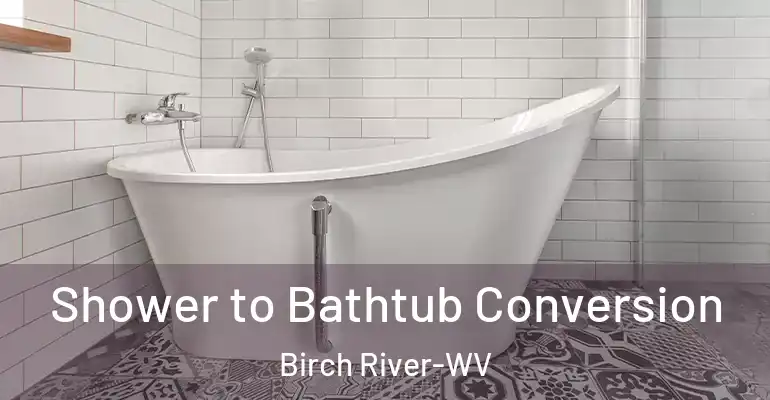 inner Bathroom imggen Shower to Bathtub Conversion Birch River-WV