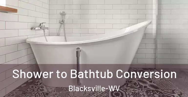 inner Bathroom imggen Shower to Bathtub Conversion Blacksville-WV