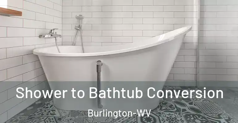 inner Bathroom imggen Shower to Bathtub Conversion Burlington-WV