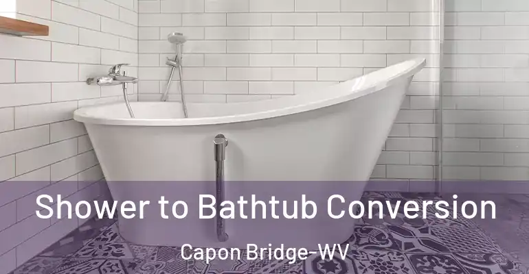 inner Bathroom imggen Shower to Bathtub Conversion Capon Bridge-WV