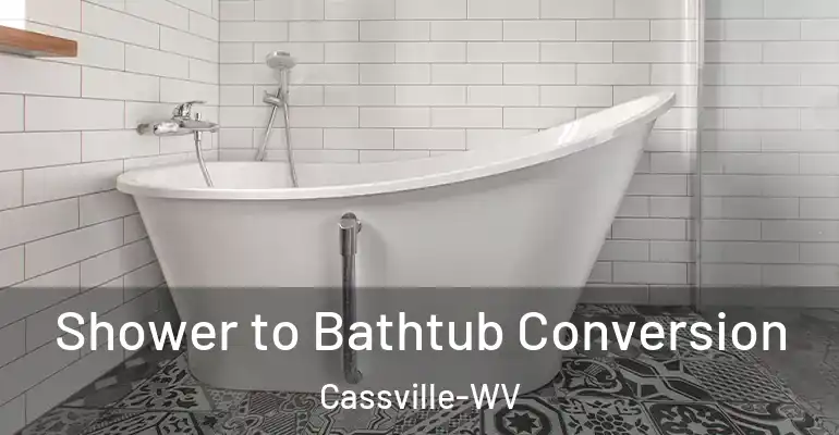 inner Bathroom imggen Shower to Bathtub Conversion Cassville-WV
