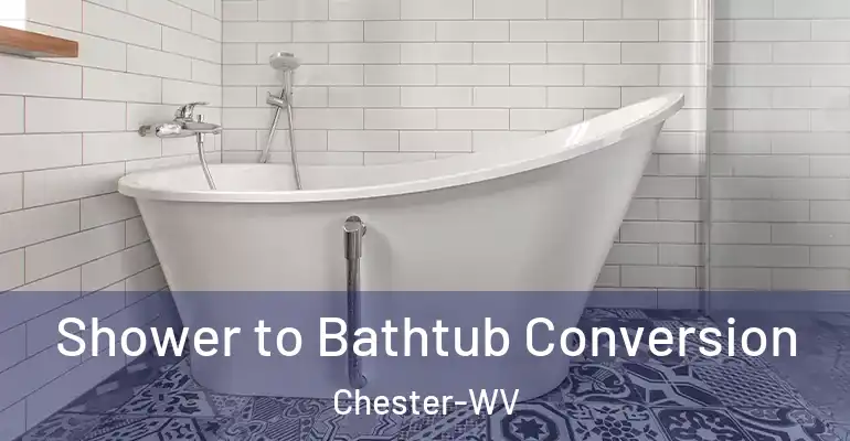inner Bathroom imggen Shower to Bathtub Conversion Chester-WV