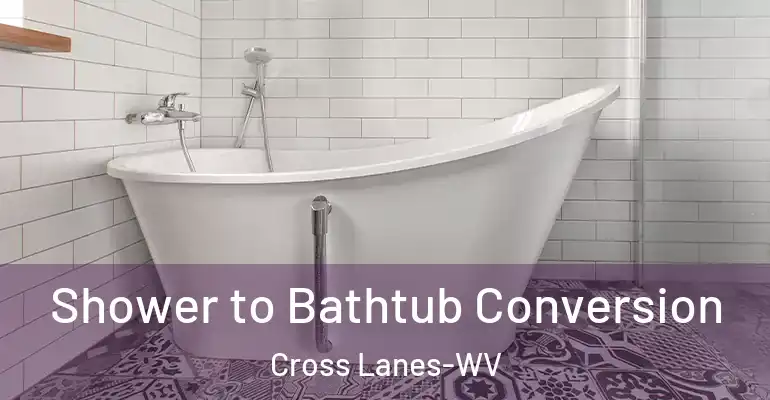 inner Bathroom imggen Shower to Bathtub Conversion Cross Lanes-WV