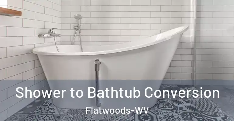 inner Bathroom imggen Shower to Bathtub Conversion Flatwoods-WV