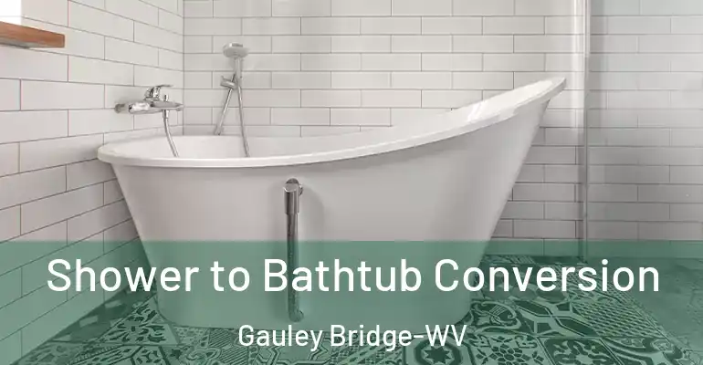 inner Bathroom imggen Shower to Bathtub Conversion Gauley Bridge-WV