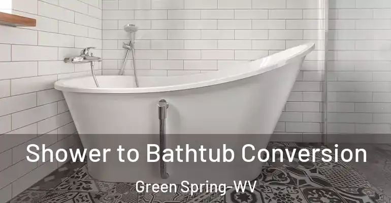 inner Bathroom imggen Shower to Bathtub Conversion Green Spring-WV