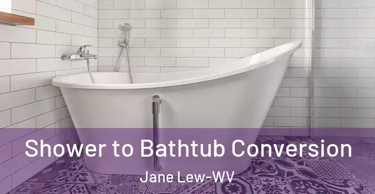 inner Bathroom imggen Shower to Bathtub Conversion Jane Lew-WV