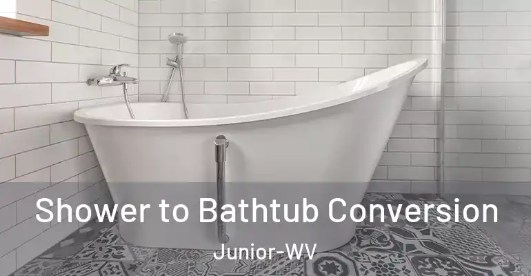 inner Bathroom imggen Shower to Bathtub Conversion Junior-WV