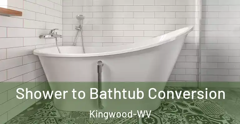 inner Bathroom imggen Shower to Bathtub Conversion Kingwood-WV