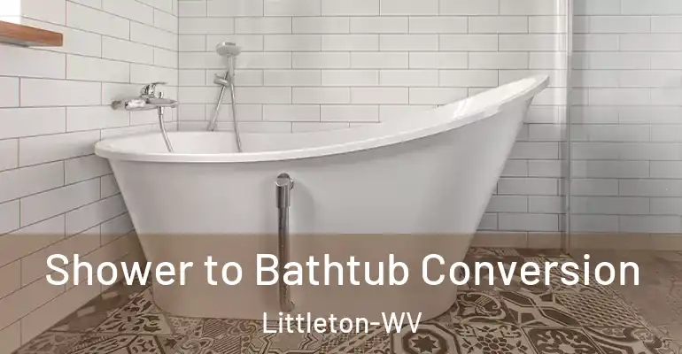inner Bathroom imggen Shower to Bathtub Conversion Littleton-WV